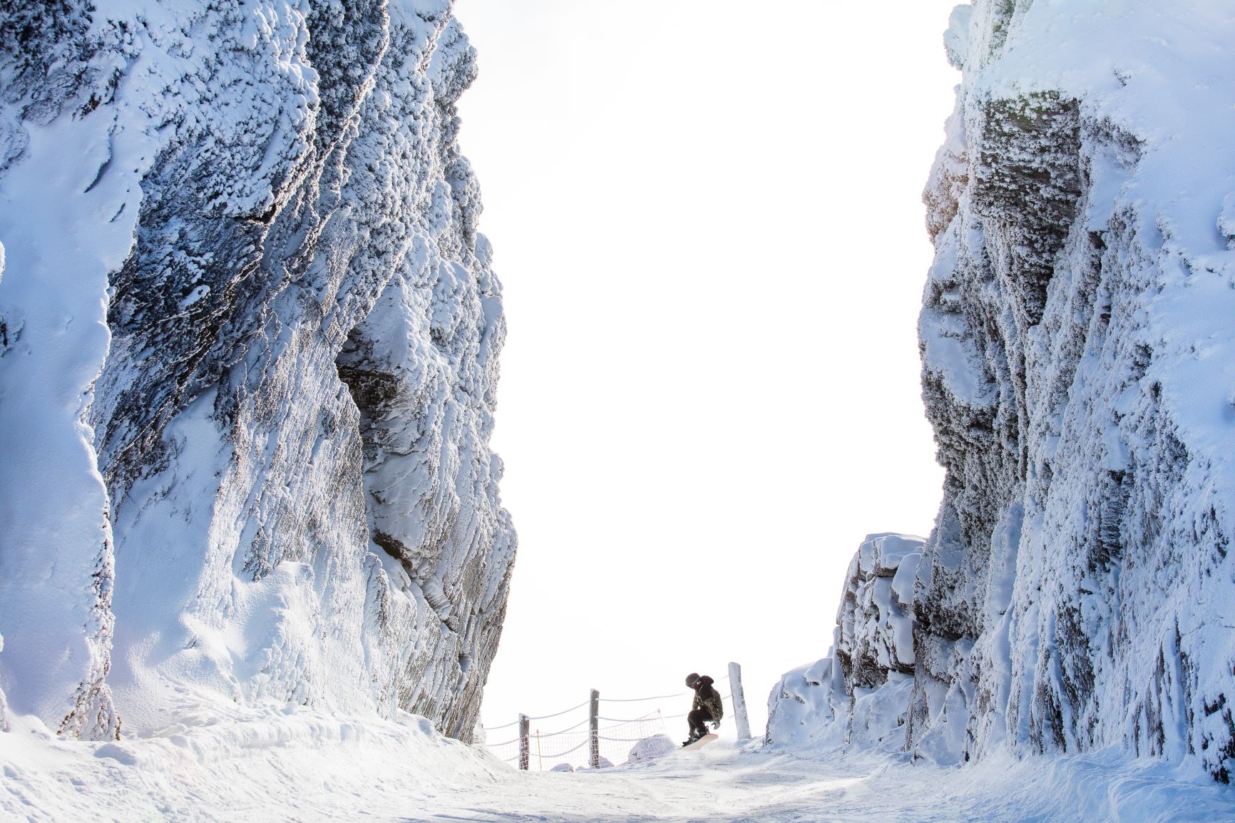 ¡Qu&eacute; lindo es Castor!